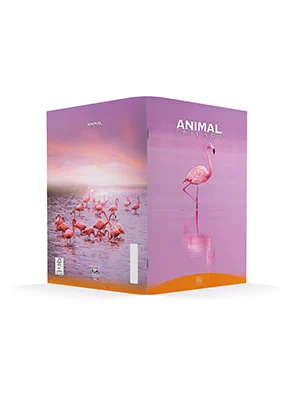 Animal Friends Elengace quaderno