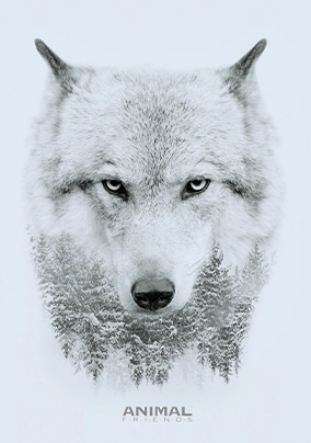 Animal Friends Elengace quaderno