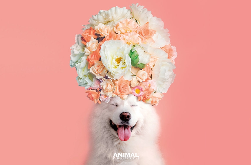Animal Friends Green Un aiuto al pianeta in modo naturale