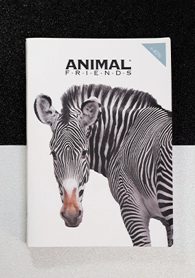 Zebra bianco