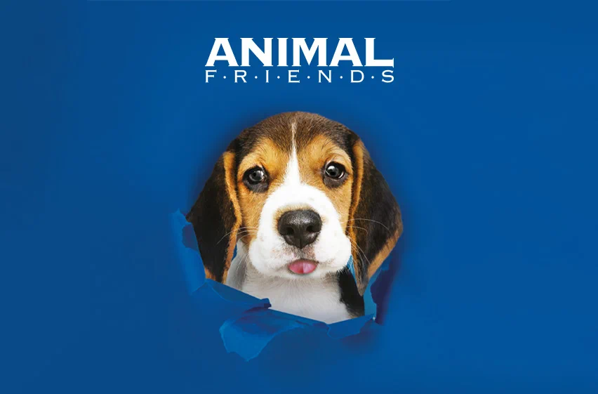 Animal Friends Black & White L’inesauribile trend del bianco e nero